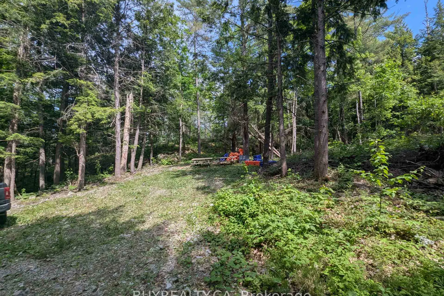 Additional image 5 of 2318 Sherwood Forest Lane