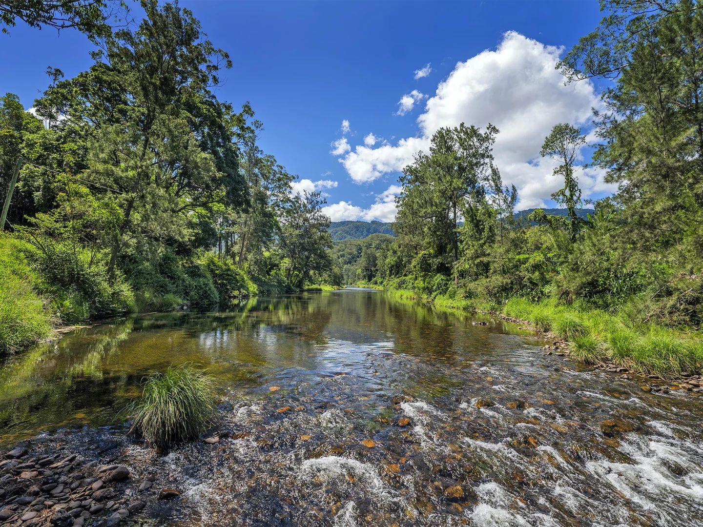 Additional image 17 of 650 Darkwood Road, Thora NSW 2454