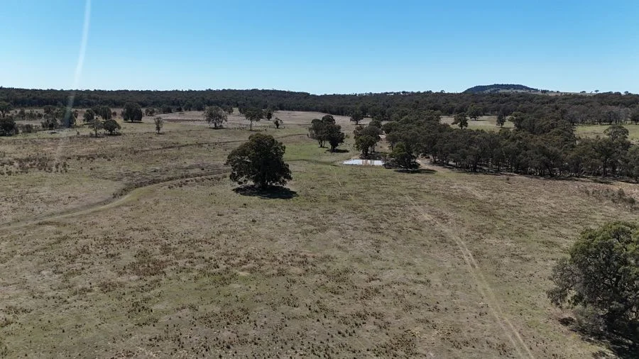 Additional image 26 of 188 Bullarook Road, Coolah NSW 2843