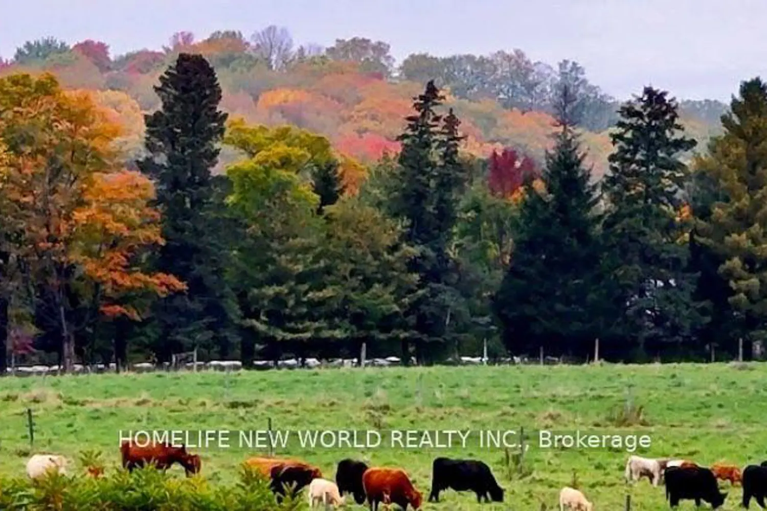 Additional image 7 of 14 Grigg Avenue