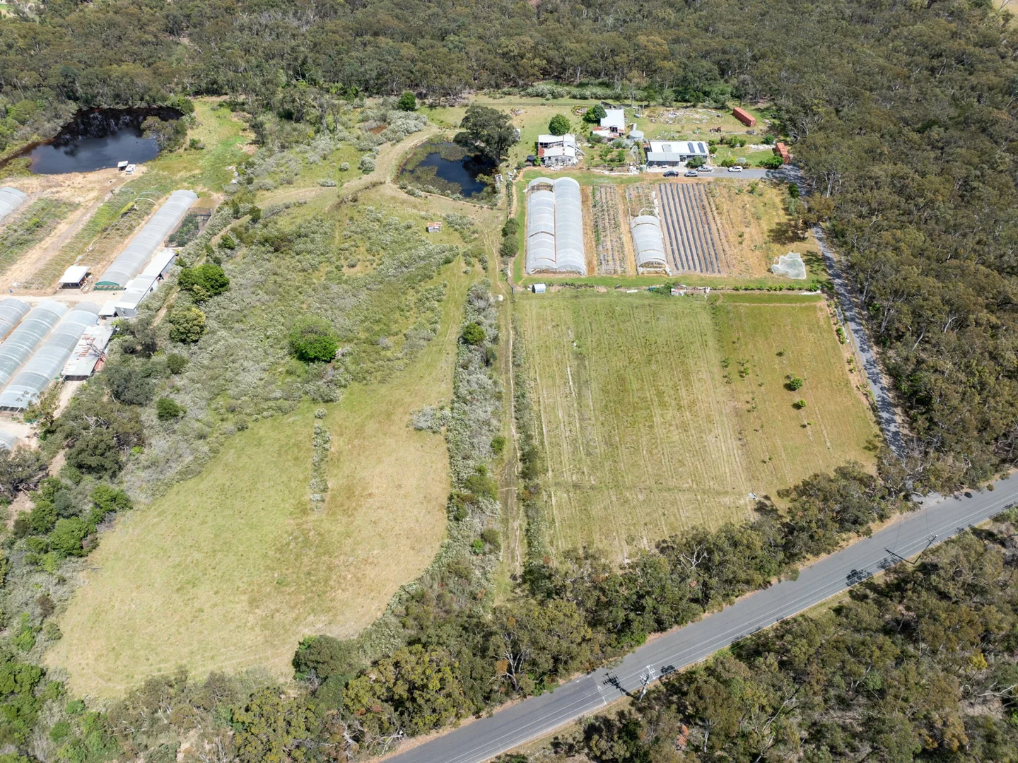 Additional image 12 of 222 Minerva Road, Wedderburn NSW 2560