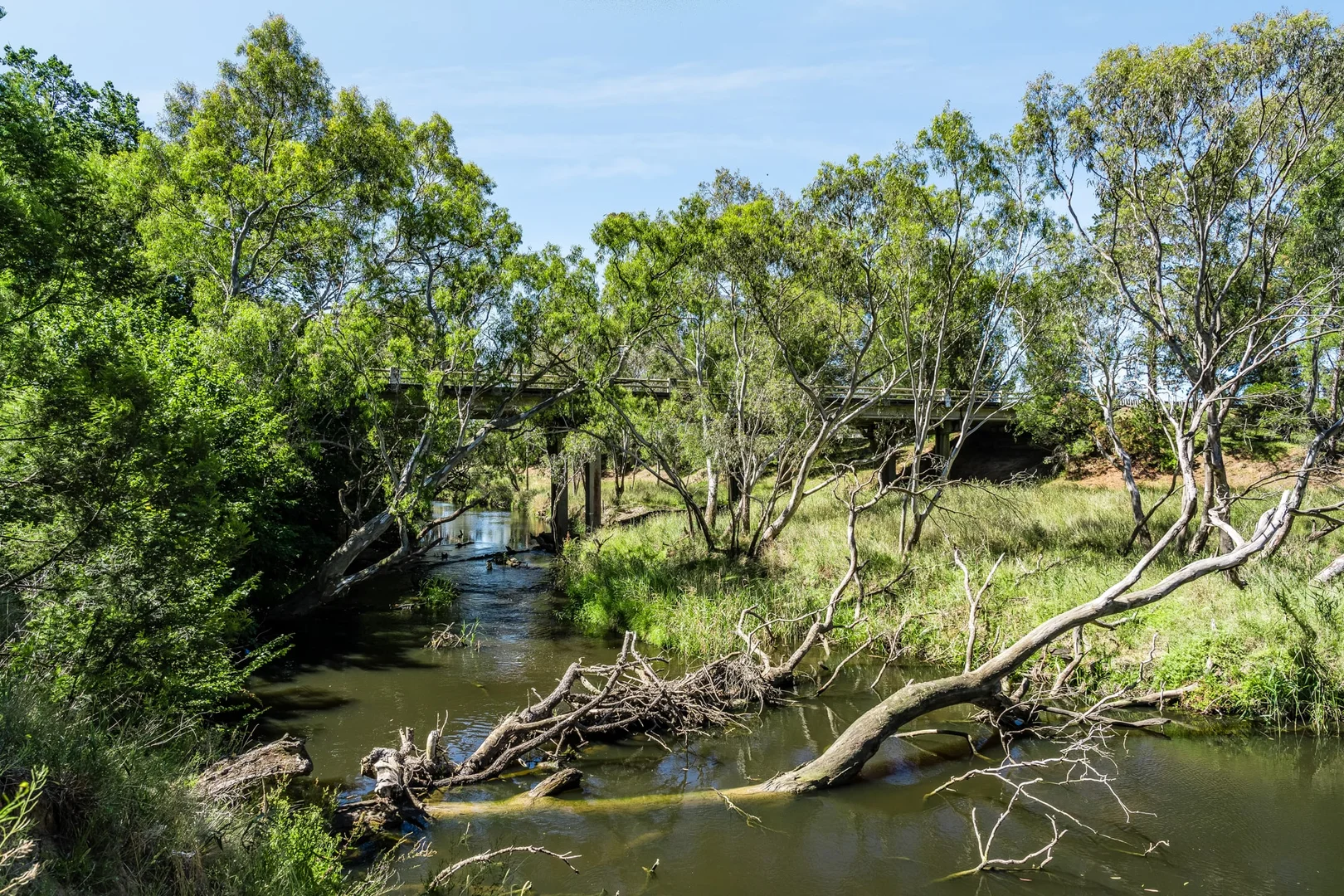 Additional image 16 of Inverleigh VIC 3321