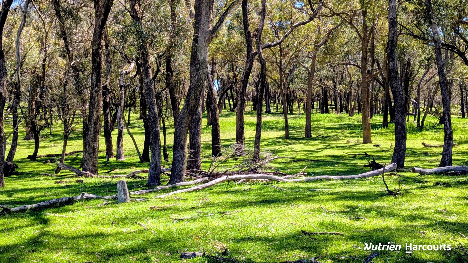 Additional image 27 of Lot 53 Cowalla Road, Cowalla WA 6503