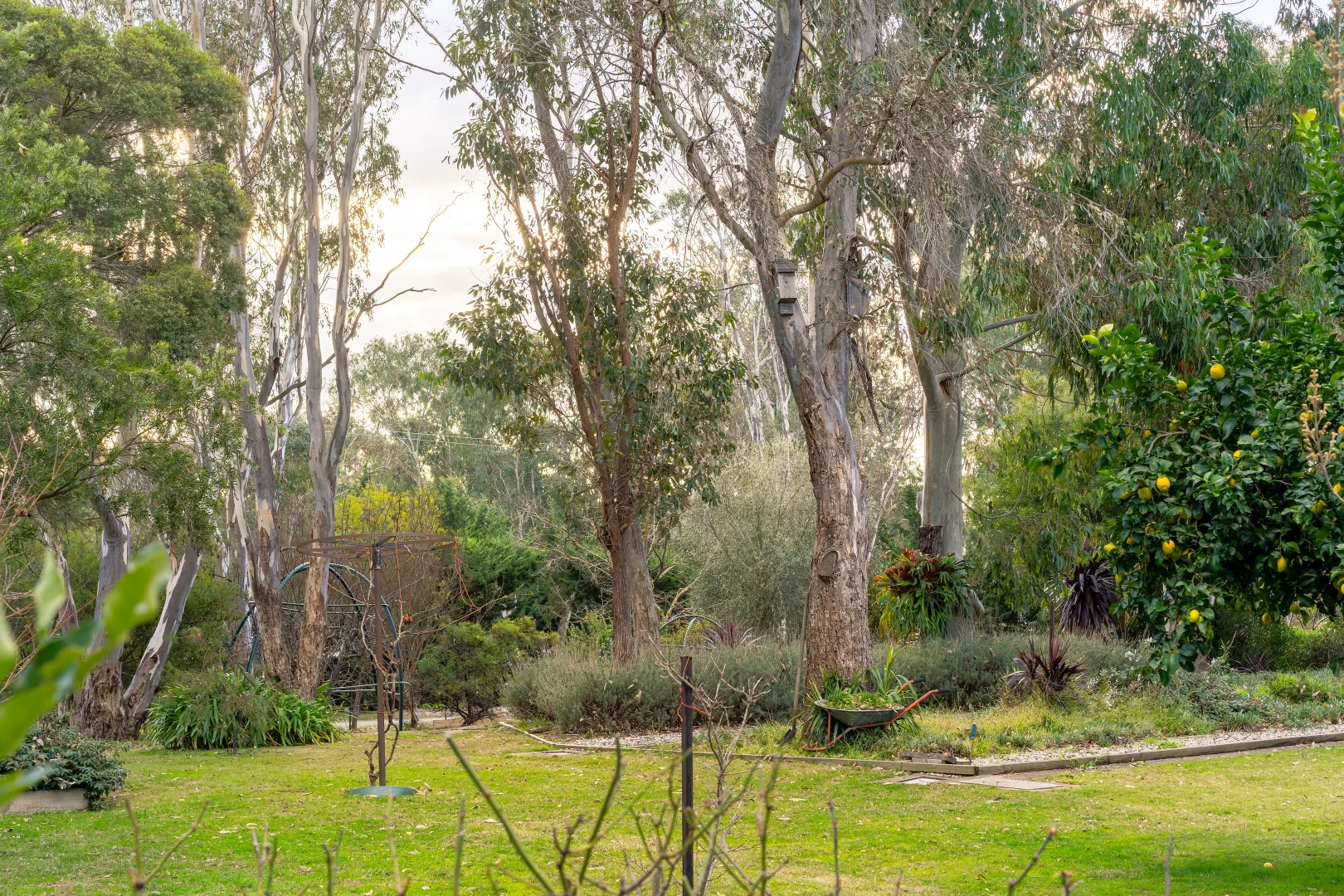 Additional image 25 of 59 Halls Flat Road, Alexandra VIC 3714