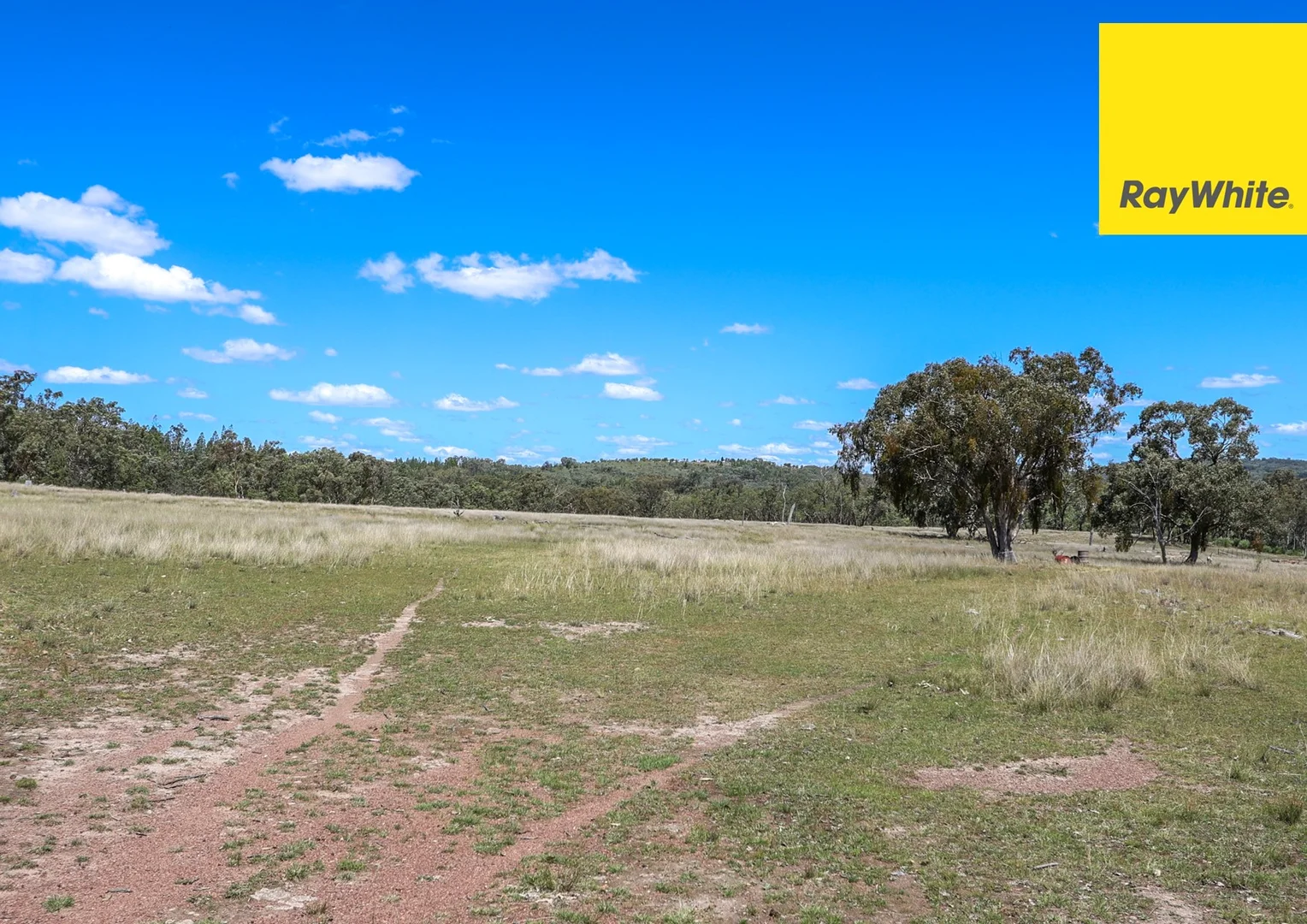 Additional image 29 of 1986 Pindari Dam Road, Pindaroi, Inverell NSW 2360