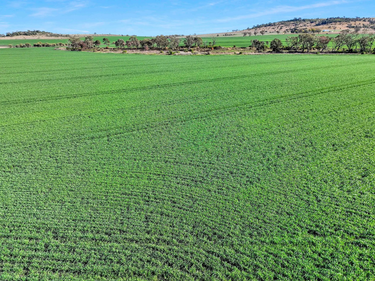 Additional image 7 of Croppa Creek NSW 2411