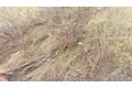 Additional image 71 of 27960 Moosa Creek Way, Valley Center, CA, 92082