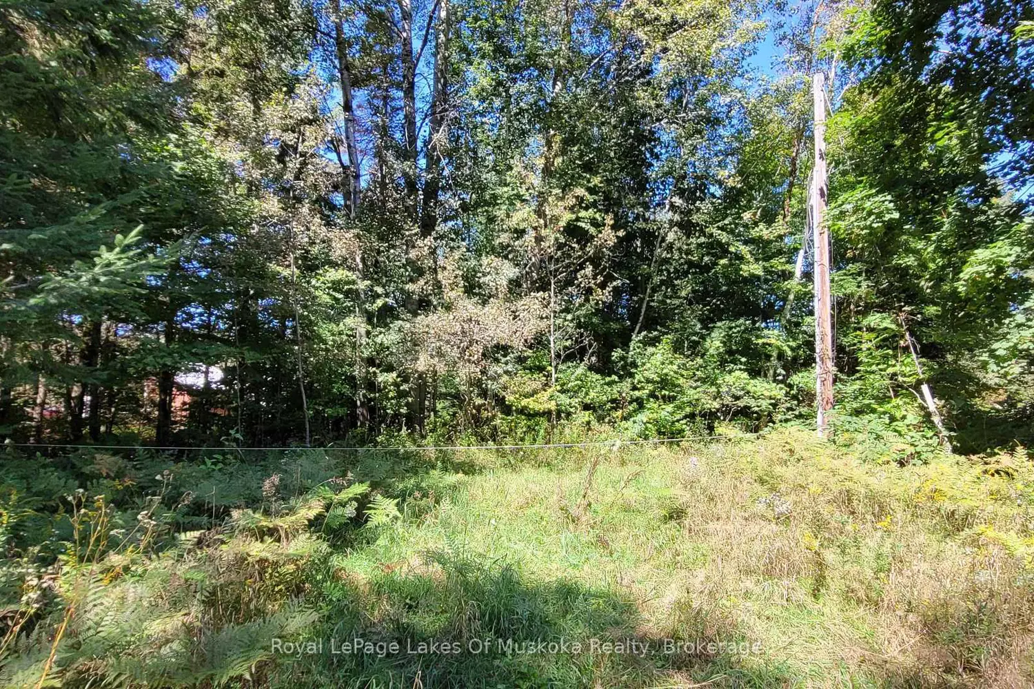 Additional image 6 of 1059 Ablett Court