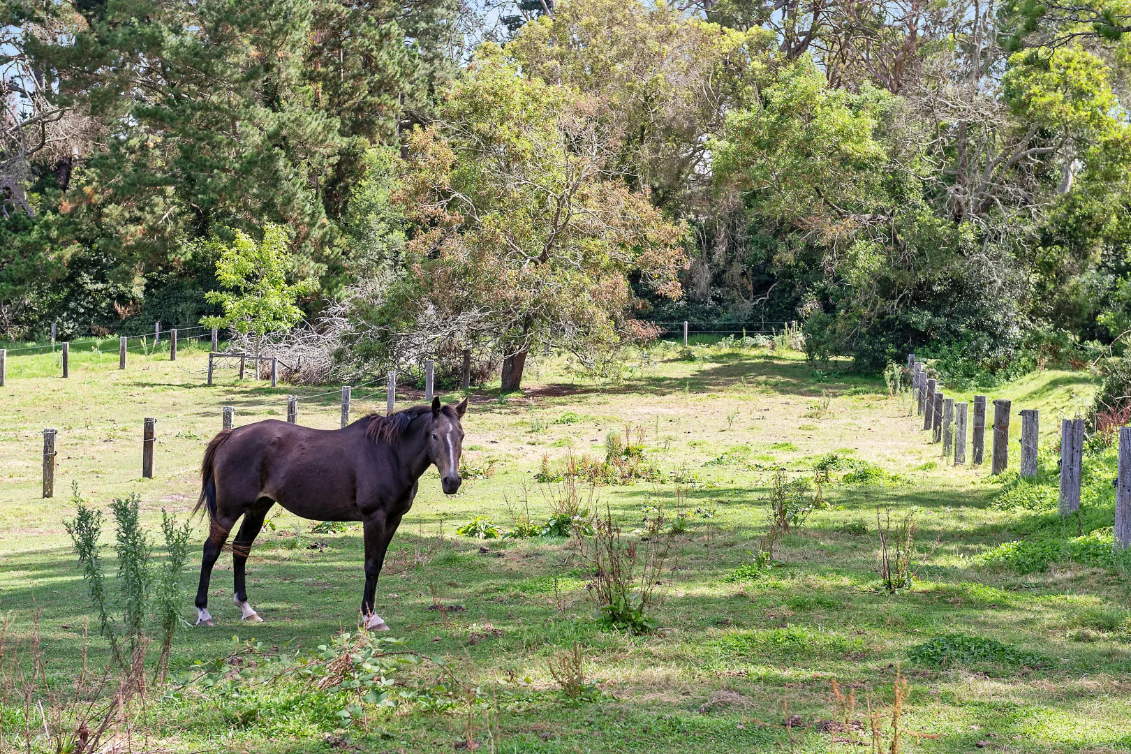 Additional image 28 of 202 Merrigang Street, Bowral NSW 2576