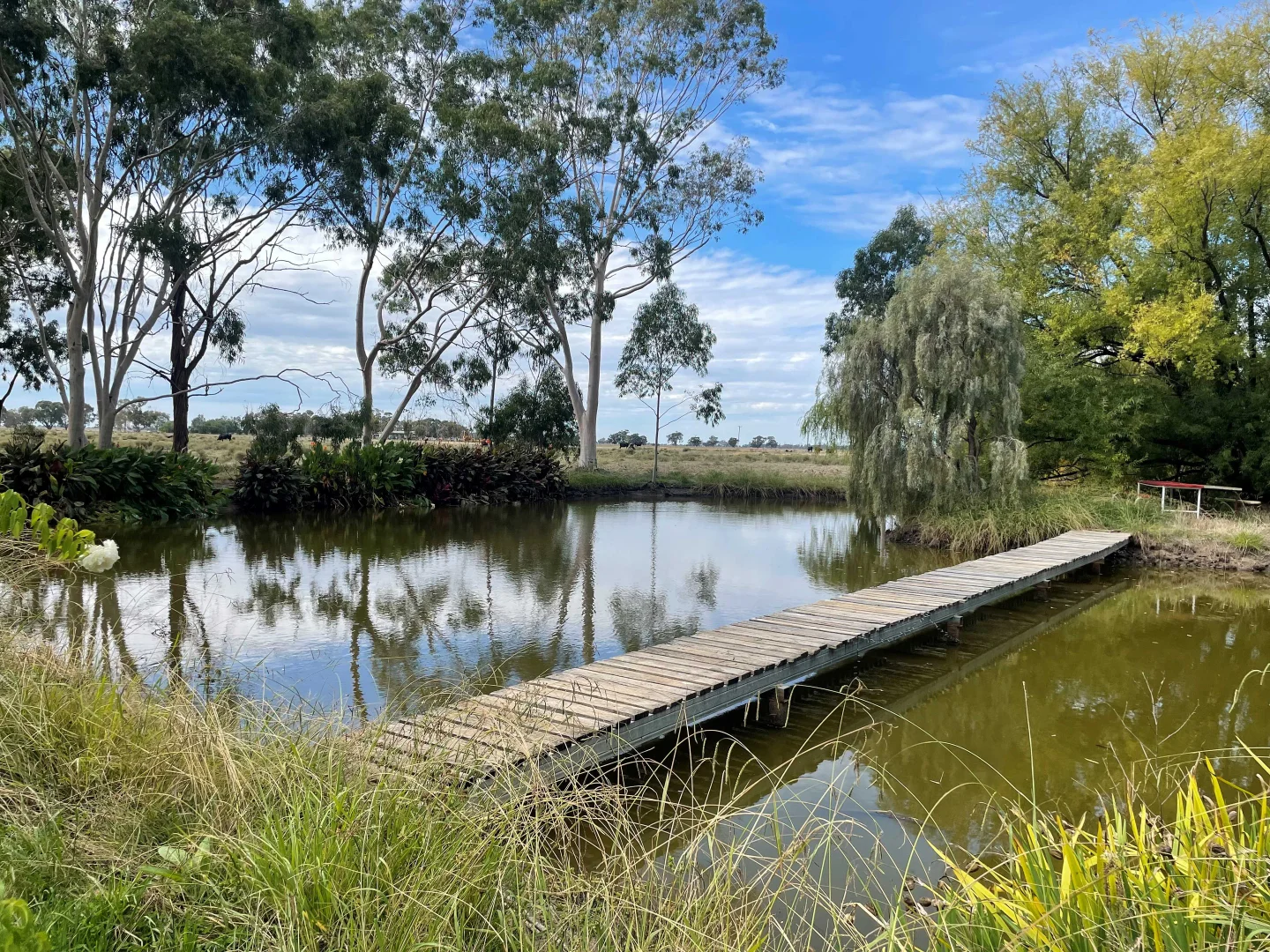 Additional image 15 of 18934 Riverina Highway, Blighty NSW 2713