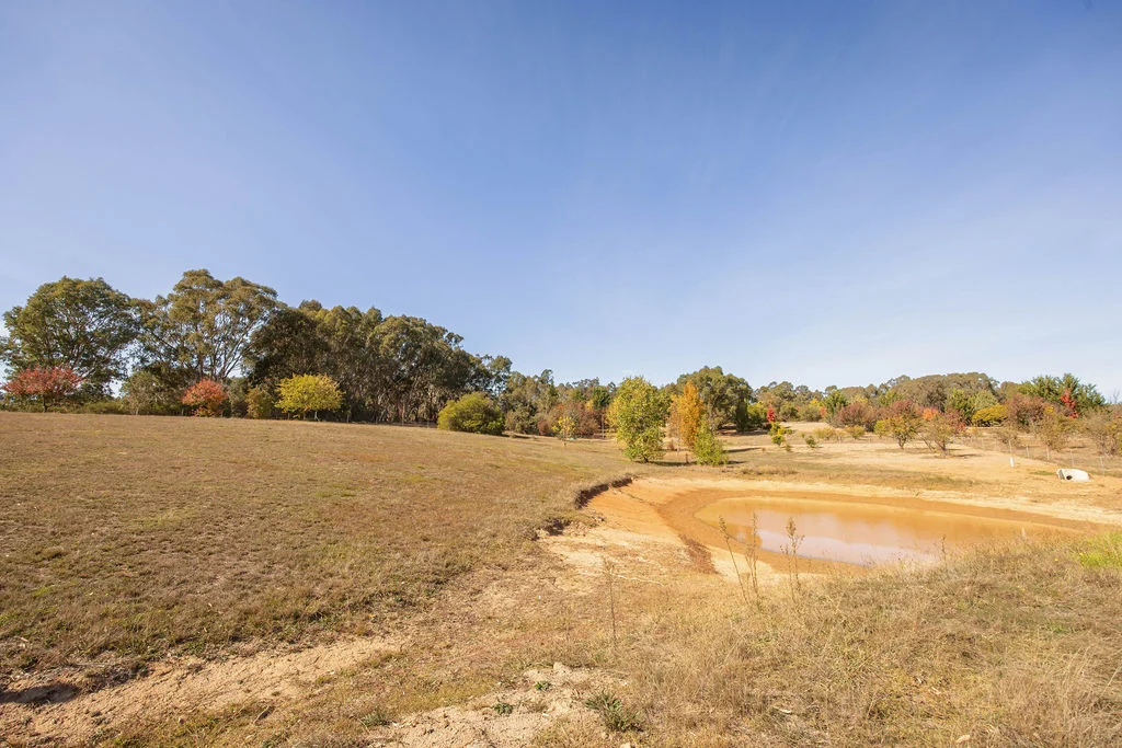 Additional image 16 of 7 Silver Creek Avenue, Yackandandah VIC 3749