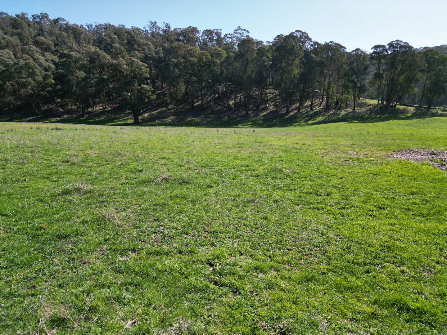 Additional image 13 of 40 Simpsons Creek Track, Nariel Valley VIC 3707