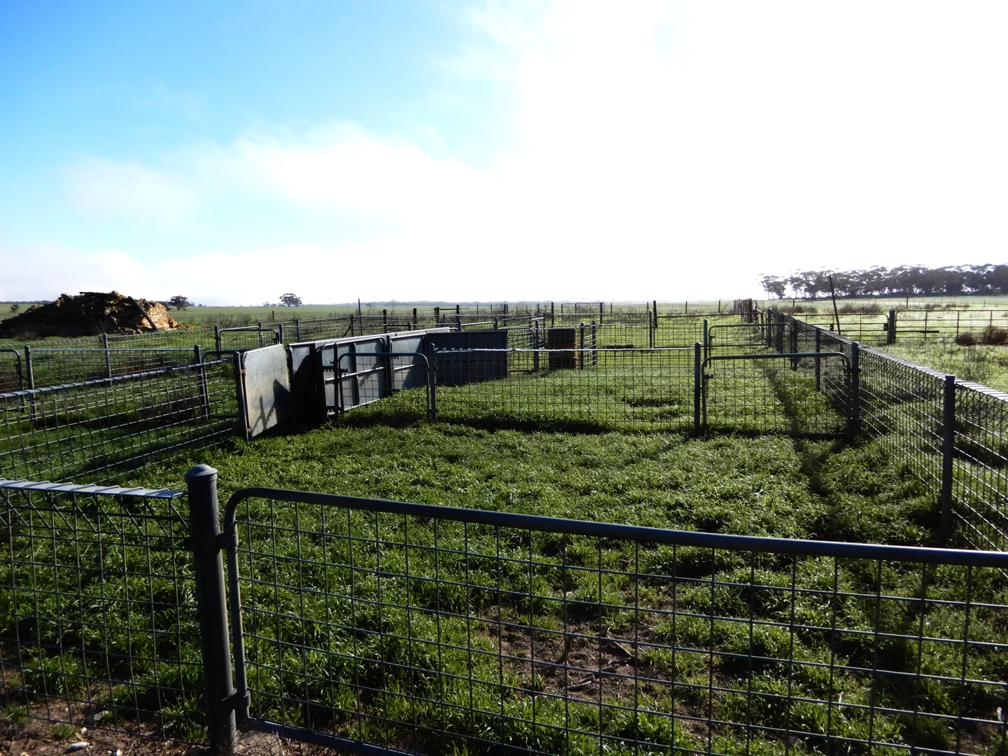 Additional image 4 of 281 Kielow Road, Peake SA 5301