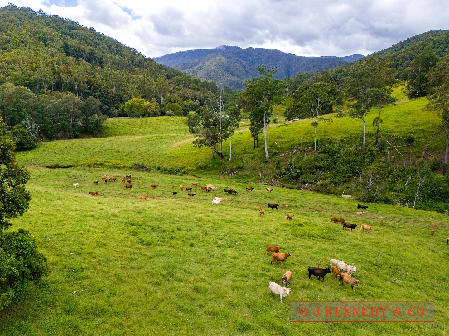 Additional image 11 of Lot 104/123 Thumb Creek Rd, Thumb Creek NSW 2447