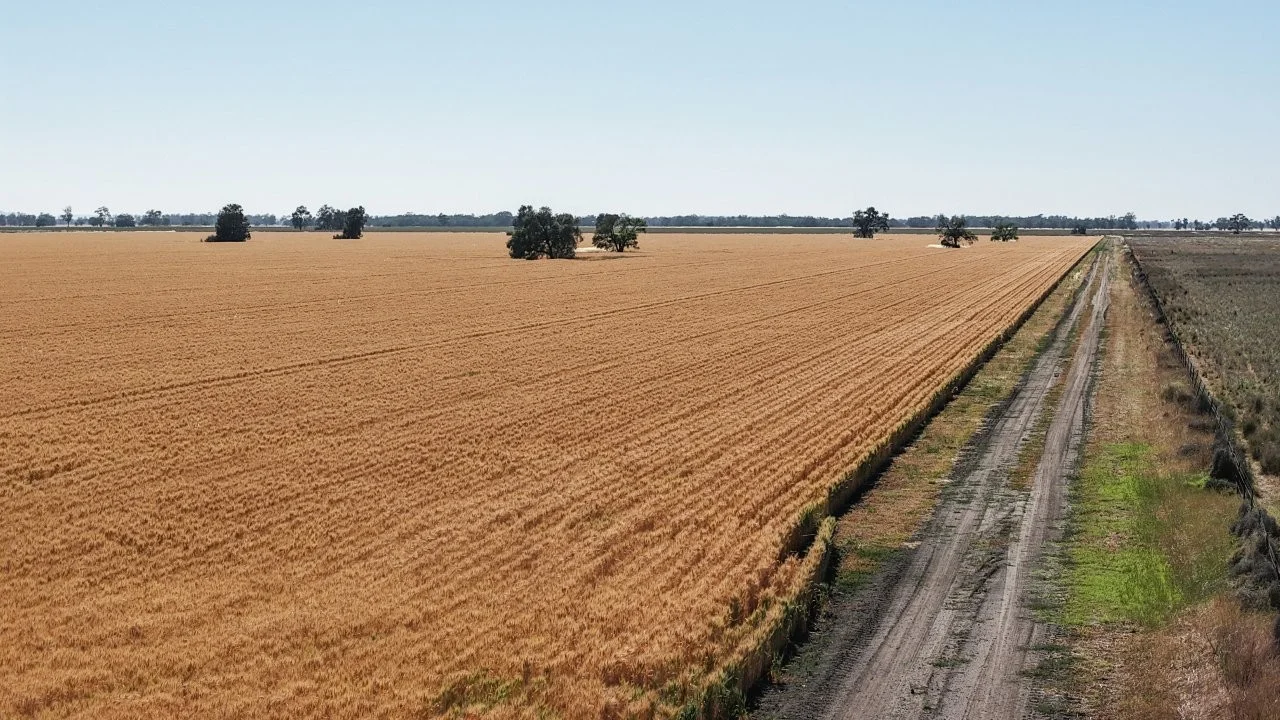 Additional image 15 of 128 Berida-Bullagreen Road, Collie NSW 2827