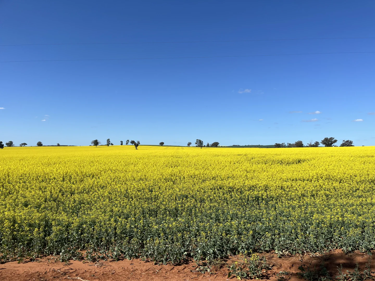 Additional image 8 of 2 Coolamon Road, Coolamon NSW 2701