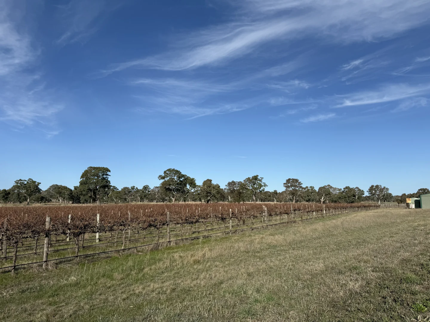 Additional image 13 of Lot 103 Dergholm Road, Penola SA 5277