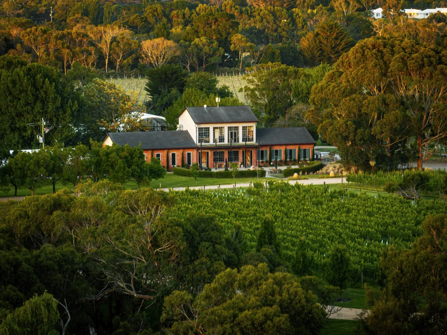 Additional image 4 of Harrisons Road, Dromana VIC 3936