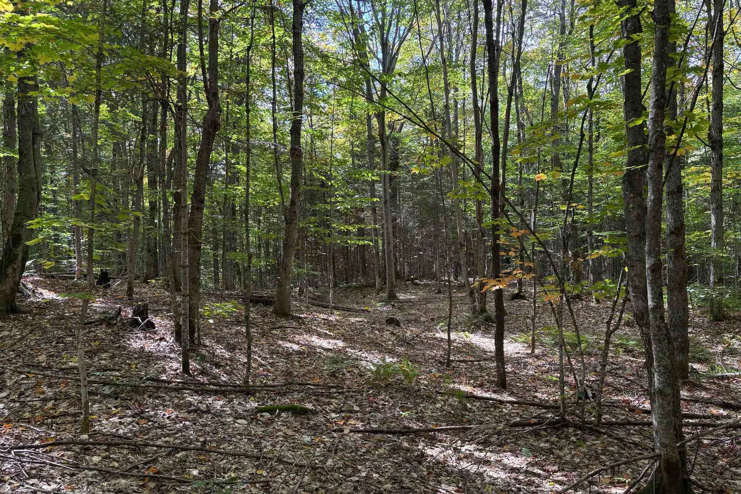 Additional image 5 of 833 Hamilton Lake Road