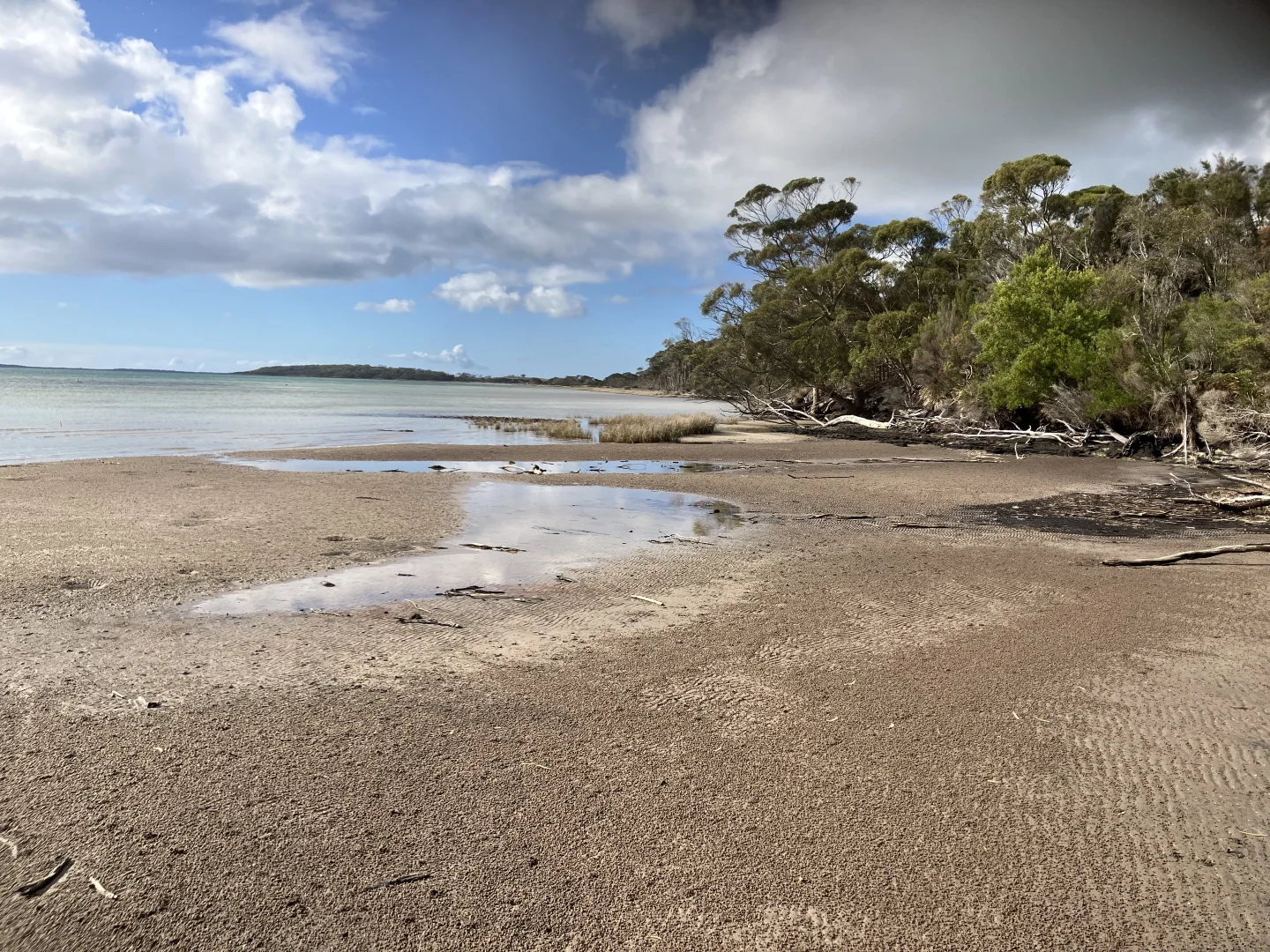 Additional image 25 of 129 & 131 Bens Hill Road, Montagu TAS 7330