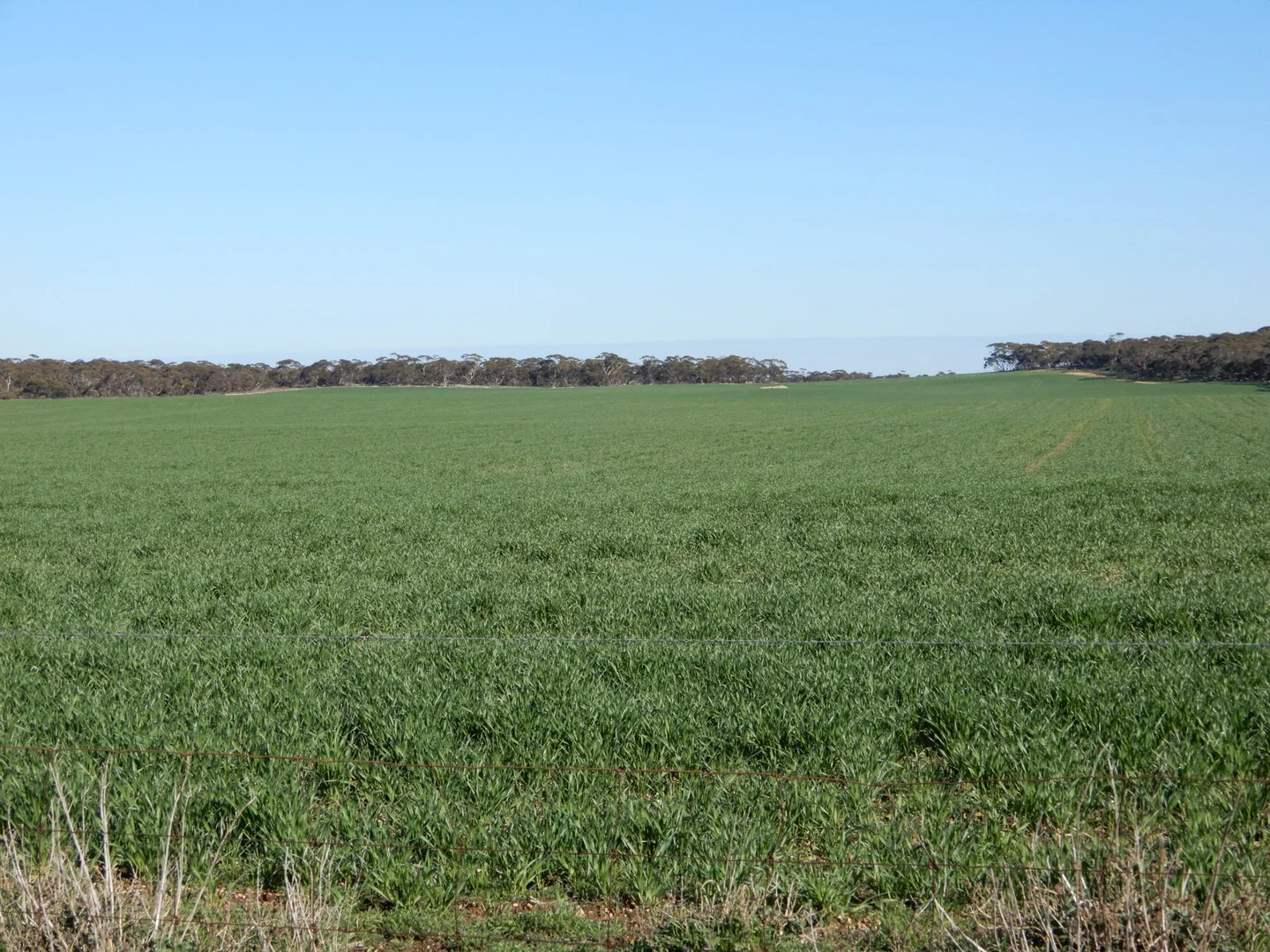 Additional image 18 of 281 Kielow Road, Peake SA 5301