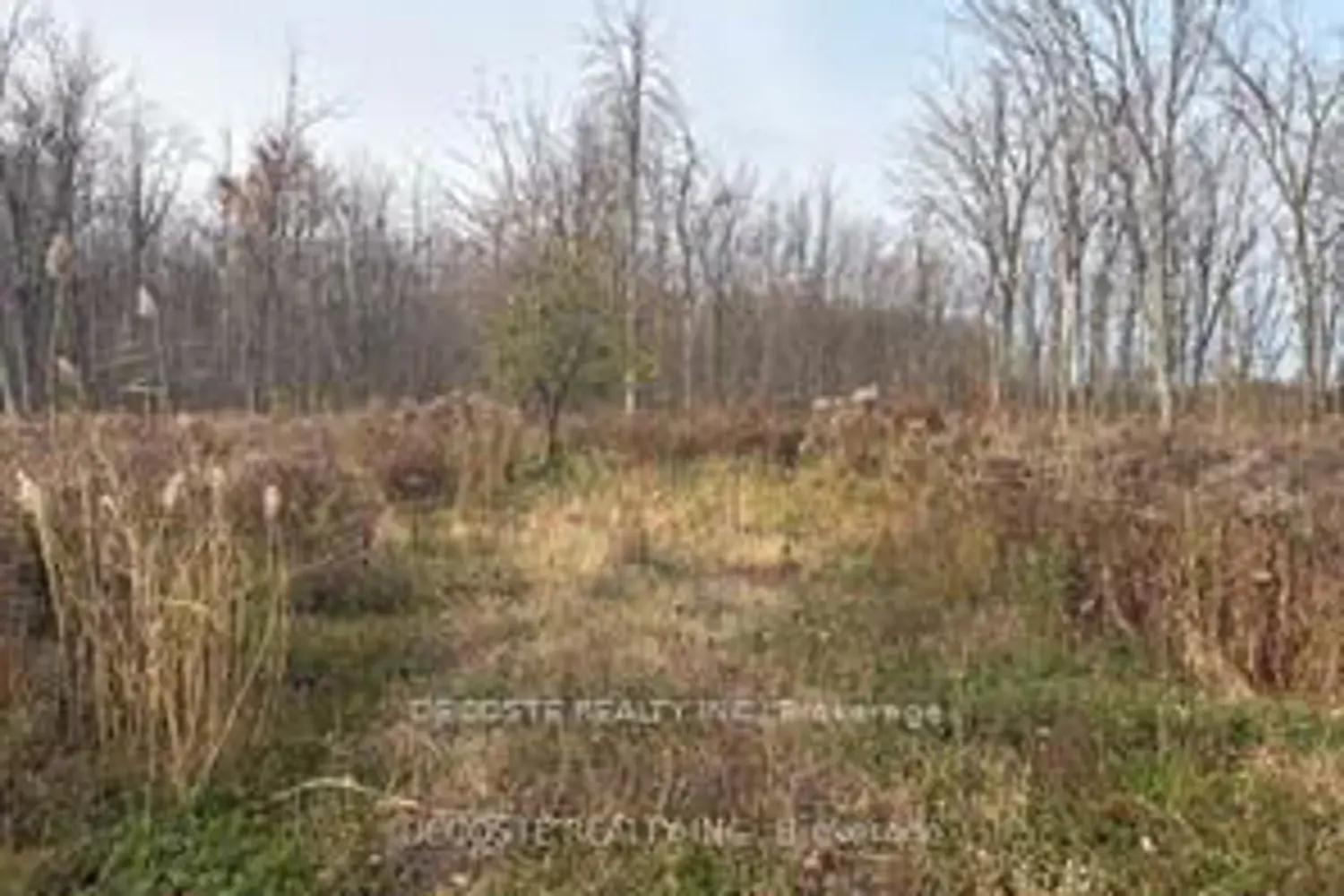 Additional image 3 of 4942 County Road 34 Road