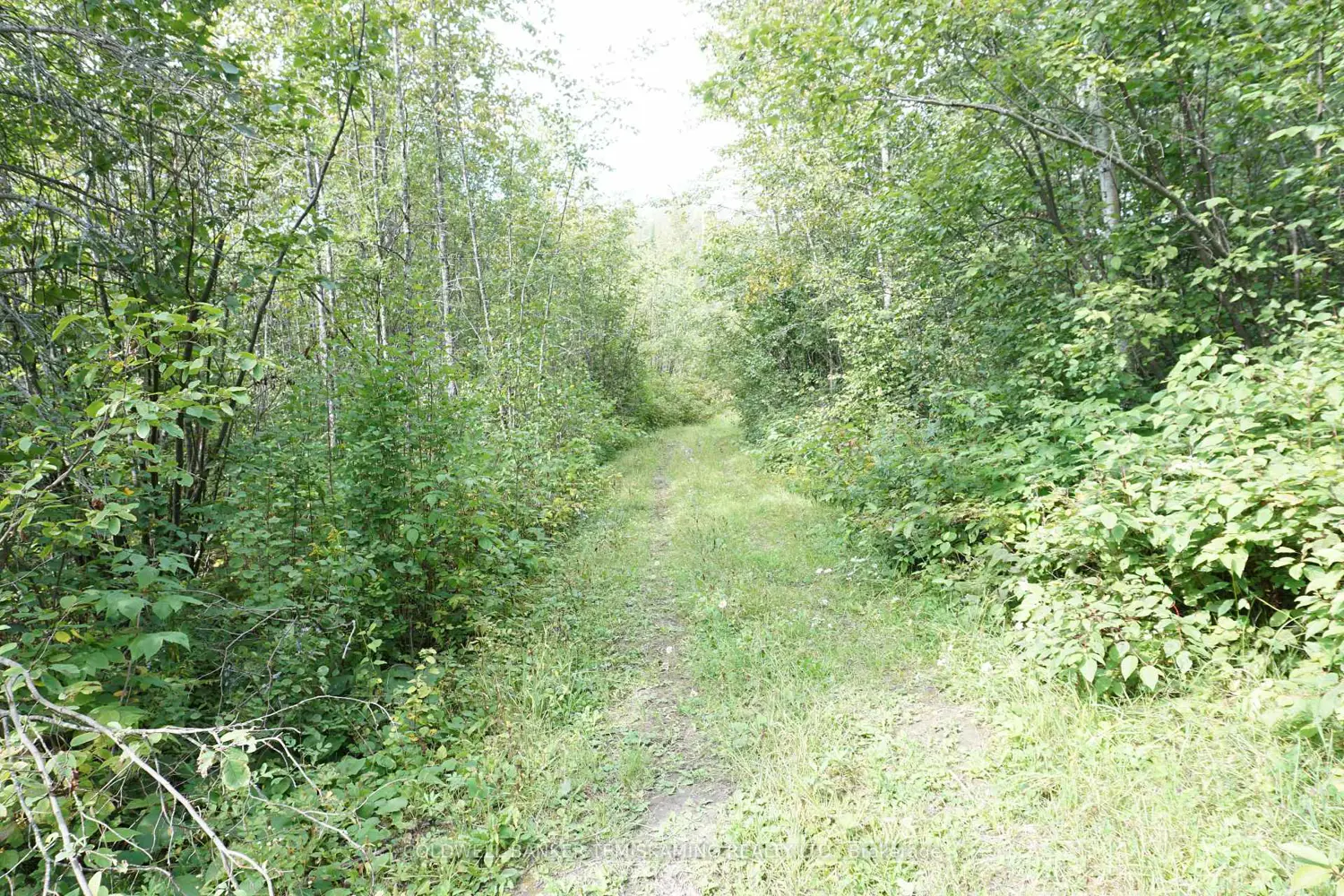 Additional image 18 of Lot 1 Campbell's Road