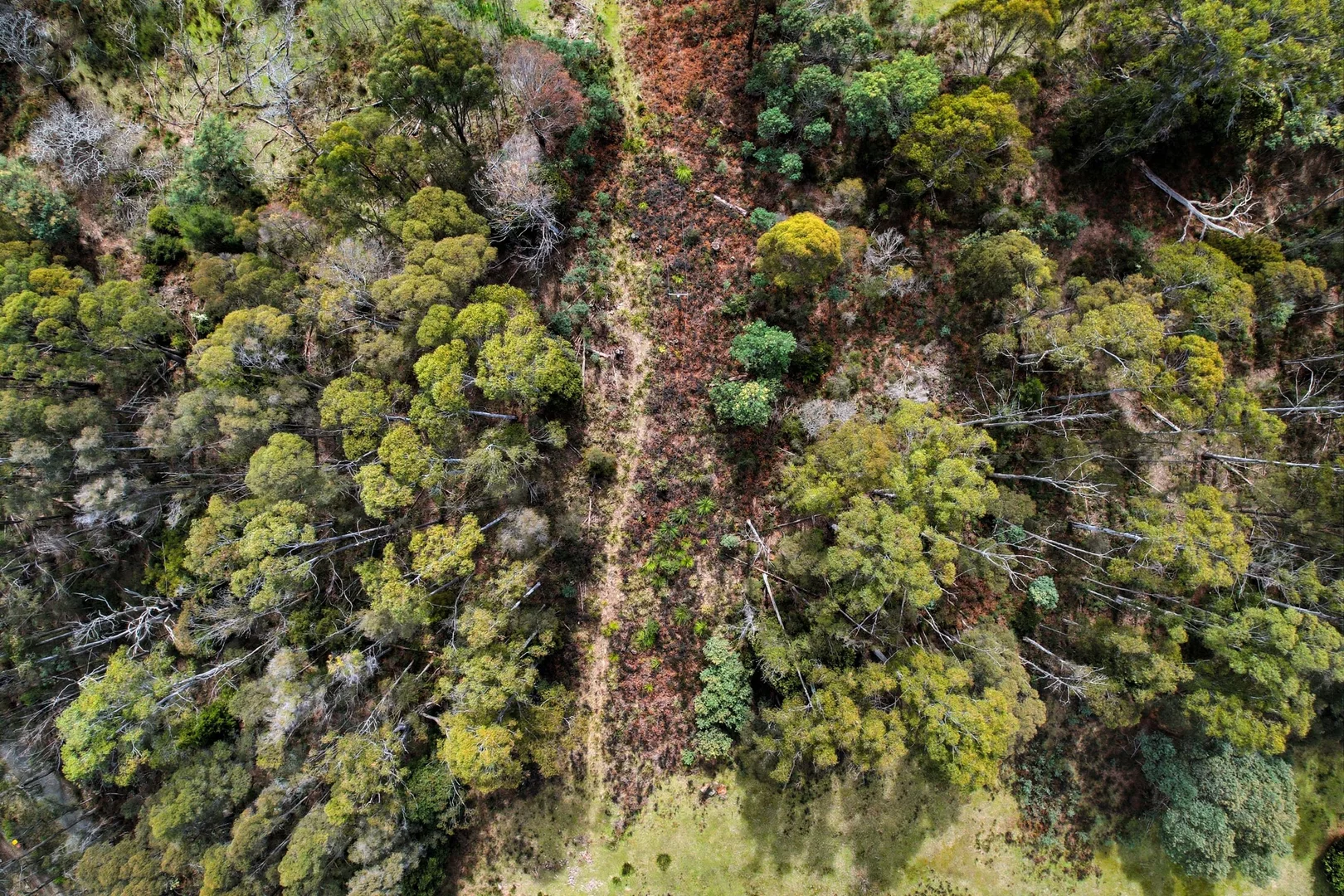 Additional image 12 of 28A Lorikeet Lane, Rosevale TAS 7292