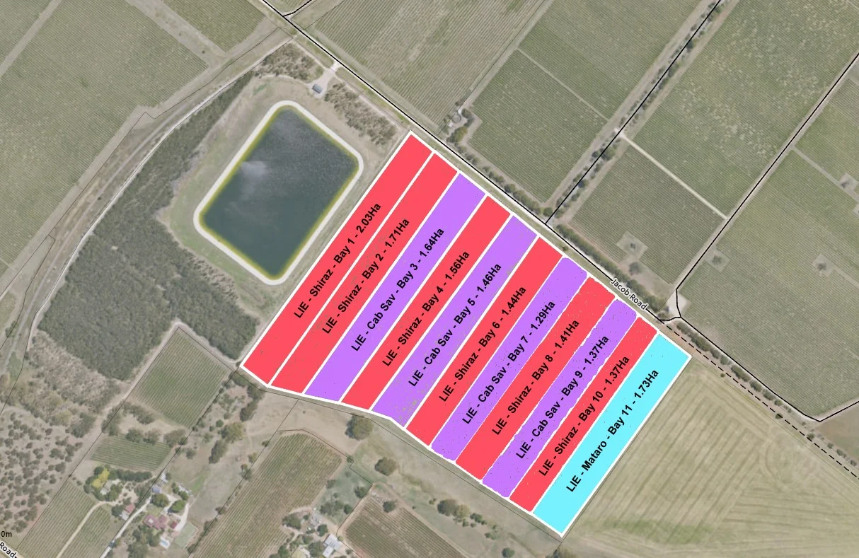 Additional image 6 of Lot 1 Jacob Road, Rowland Flat SA 5352