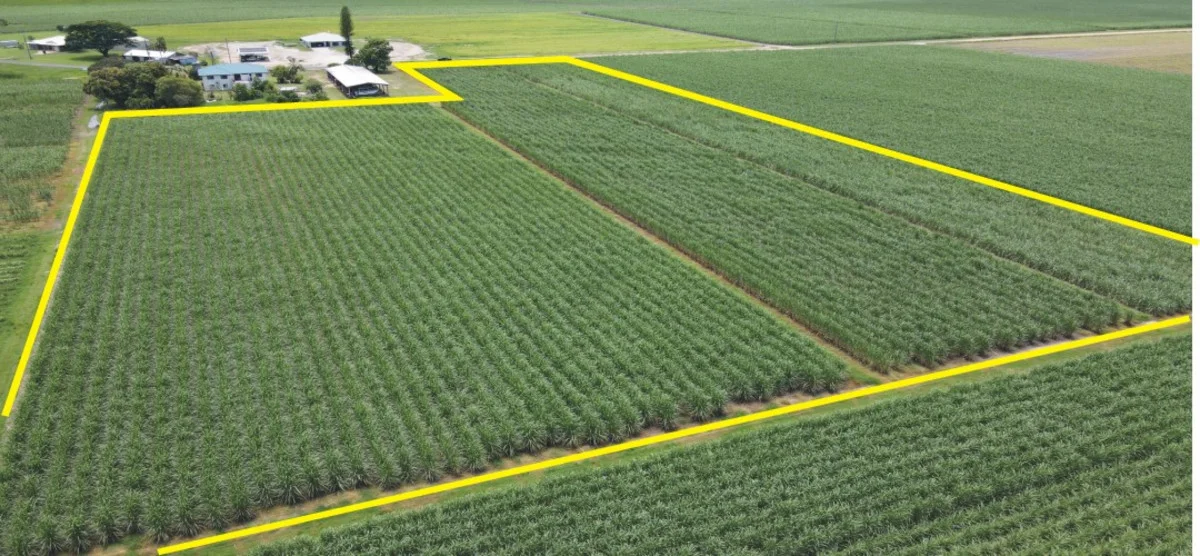 Additional image 5 of 1 Hamleigh Road, Ingham QLD 4850