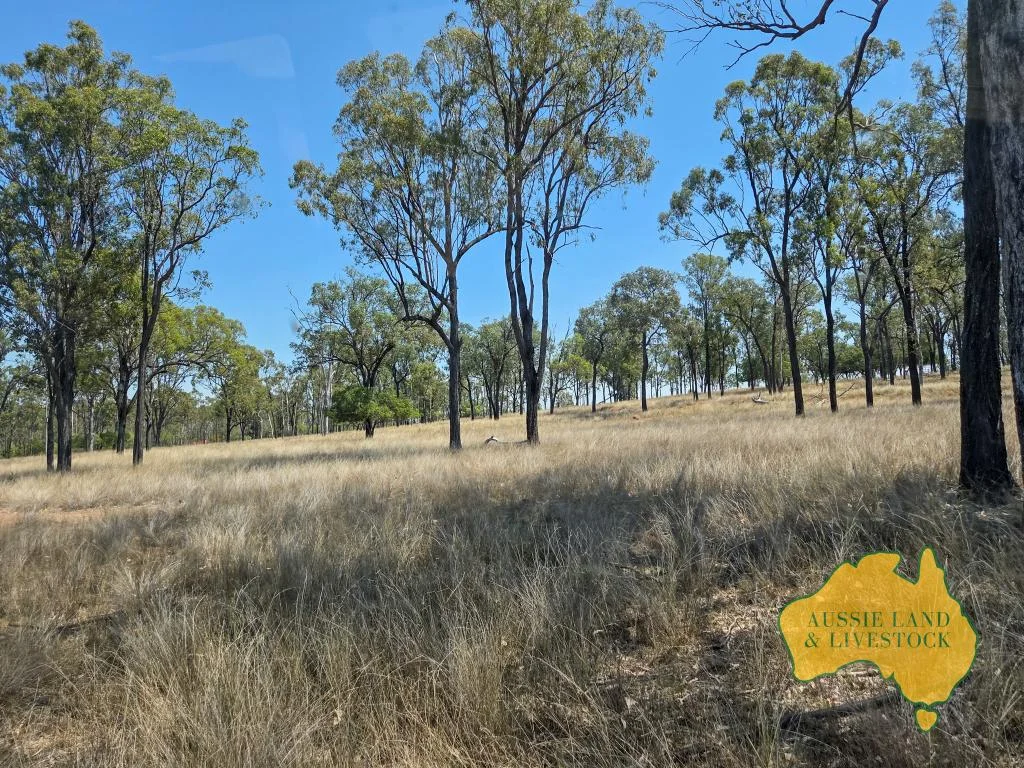 Additional image 30 of 110 BENHAMS ROAD, Mundubbera QLD 4626