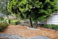 Additional image 50 of 12075 Pradera Rd, Camarillo, CA, 93012