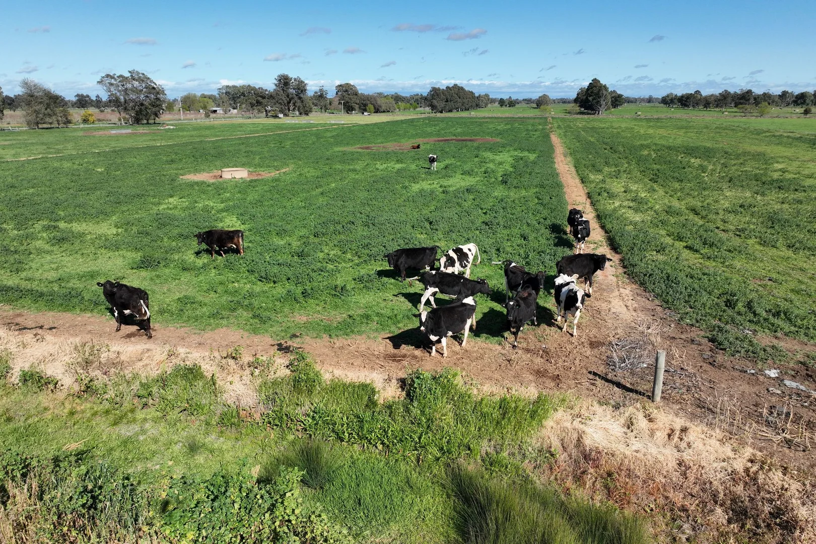 Additional image 31 of 92 Drumanure Road, Invergordon VIC 3636