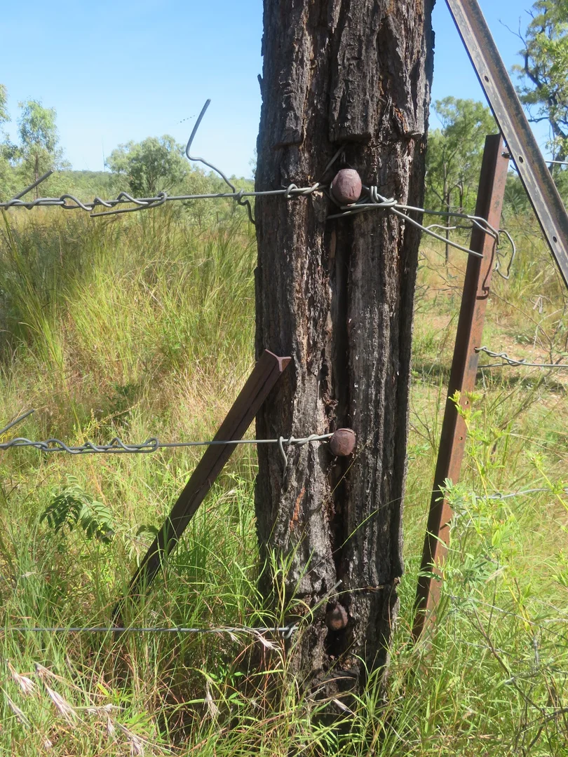 Additional image 55 of 2 Bolwarra Road, Chillagoe QLD 4871