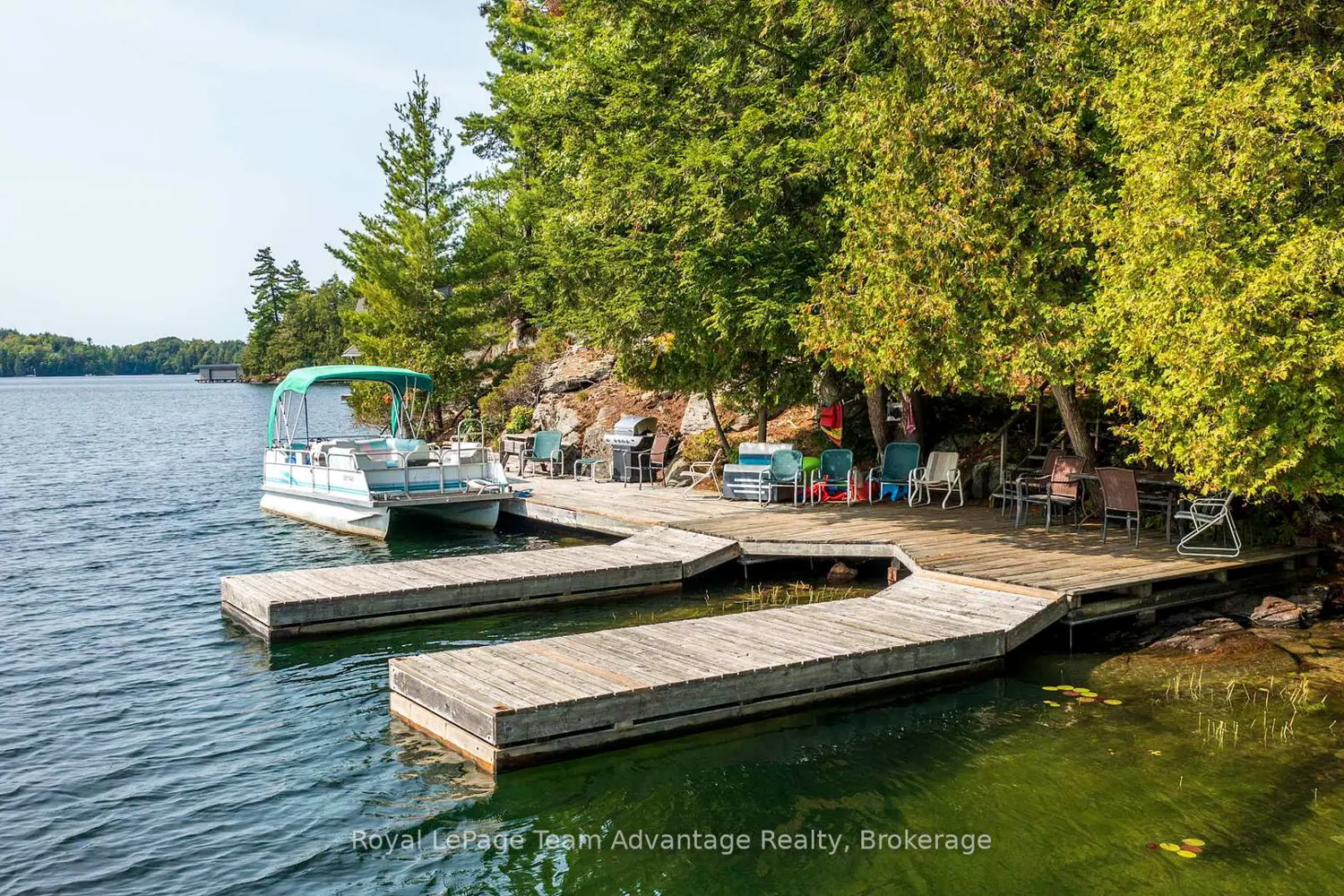 Additional image 8 of 11 Veronica Gene Lane