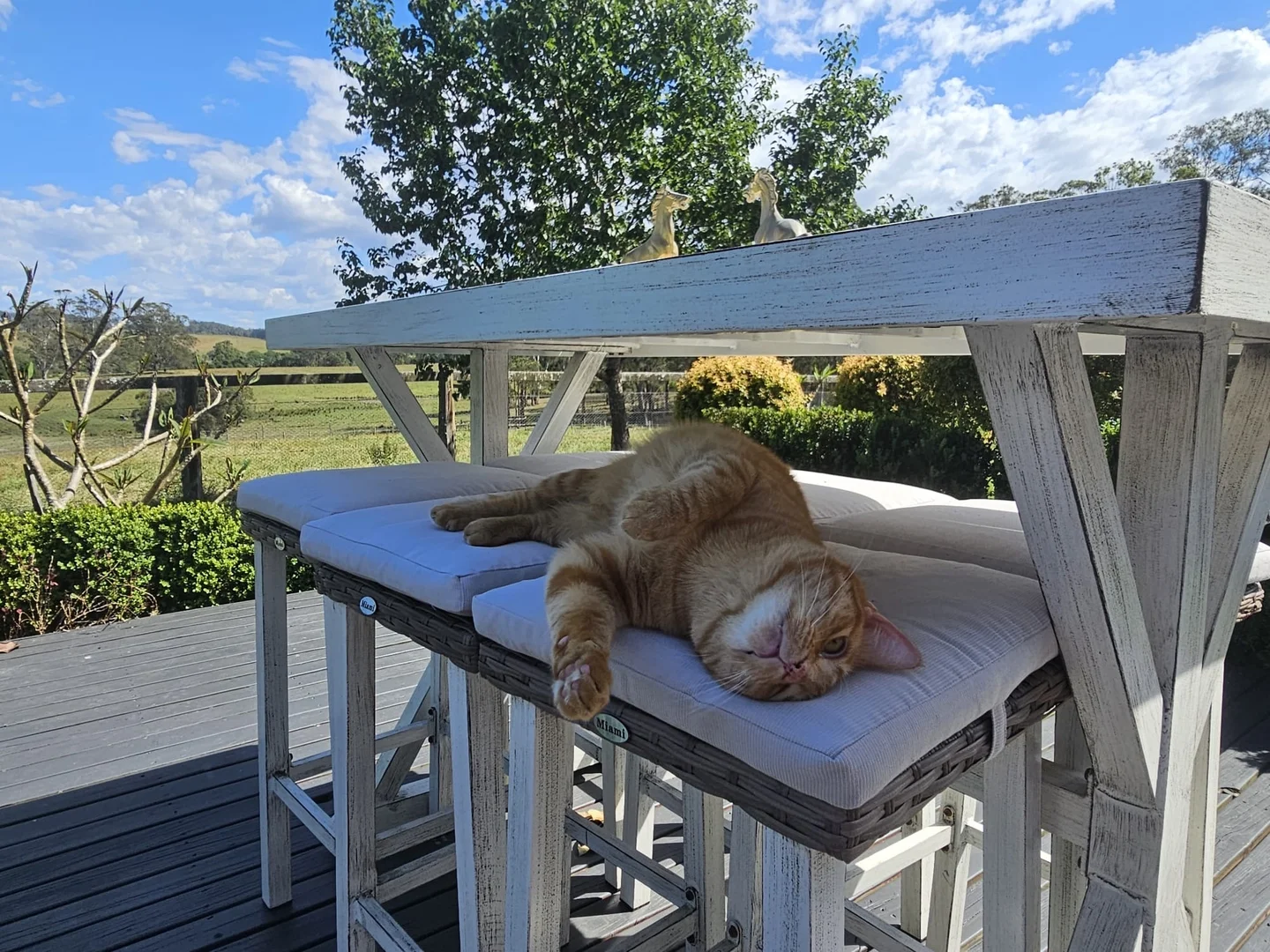 Additional image 10 of 148 Mimi Creek Road, Firefly NSW 2429