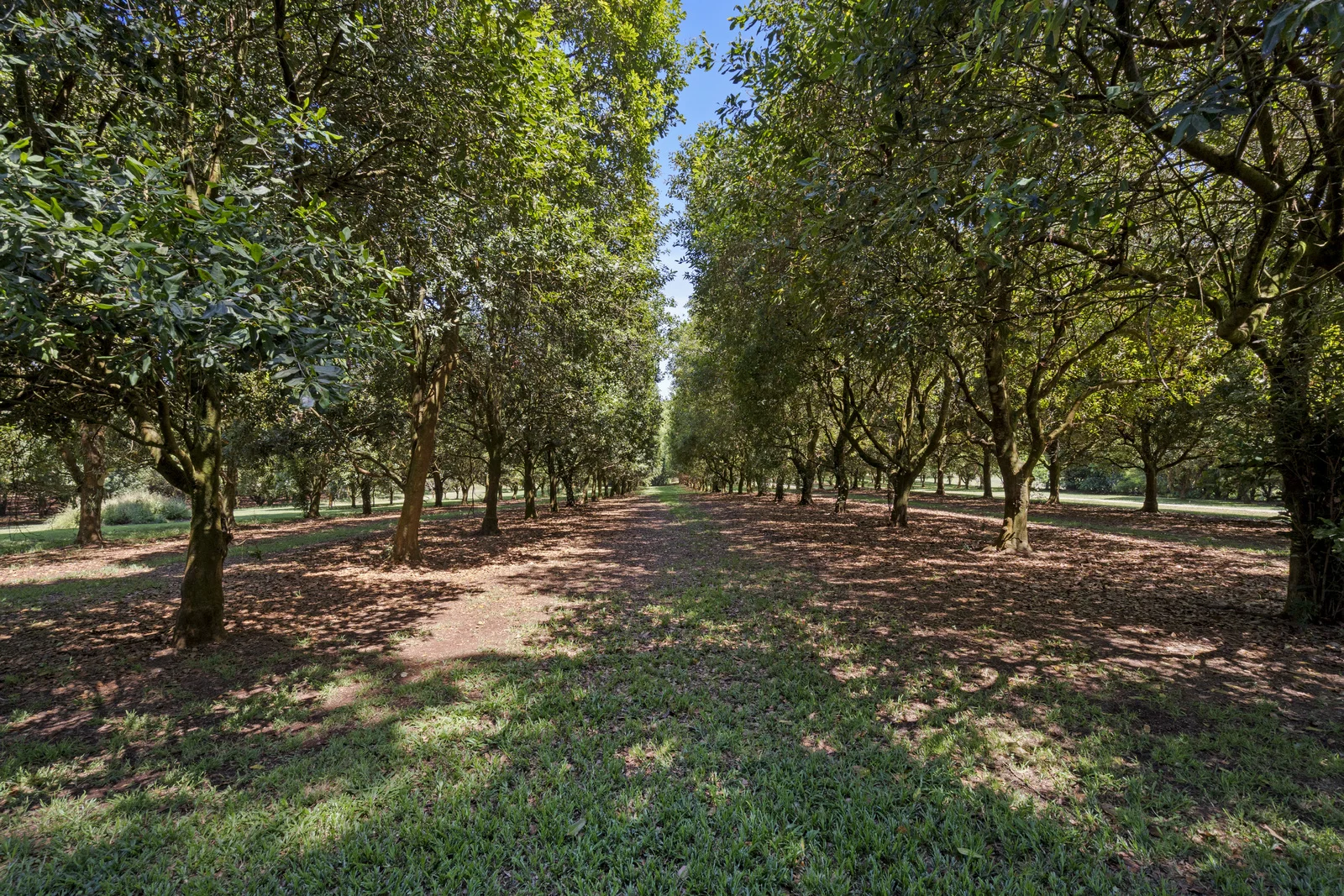 Additional image 20 of 347 Goremans Road, Eureka NSW 2480