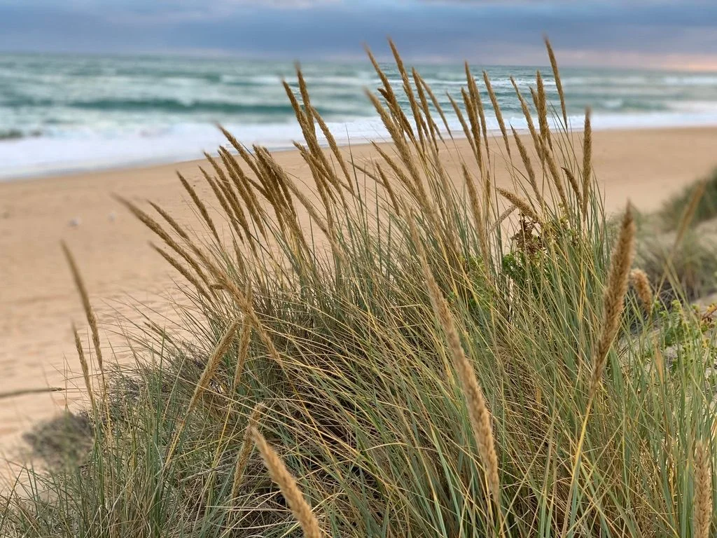 Additional image 4 of 28 TI-TREE DRIVE, Golden Beach VIC 3851