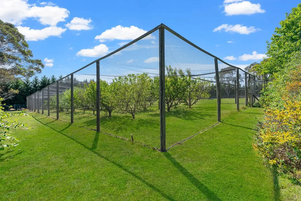 Additional image 26 of 4 Bignonia Street, Colo Vale NSW 2575