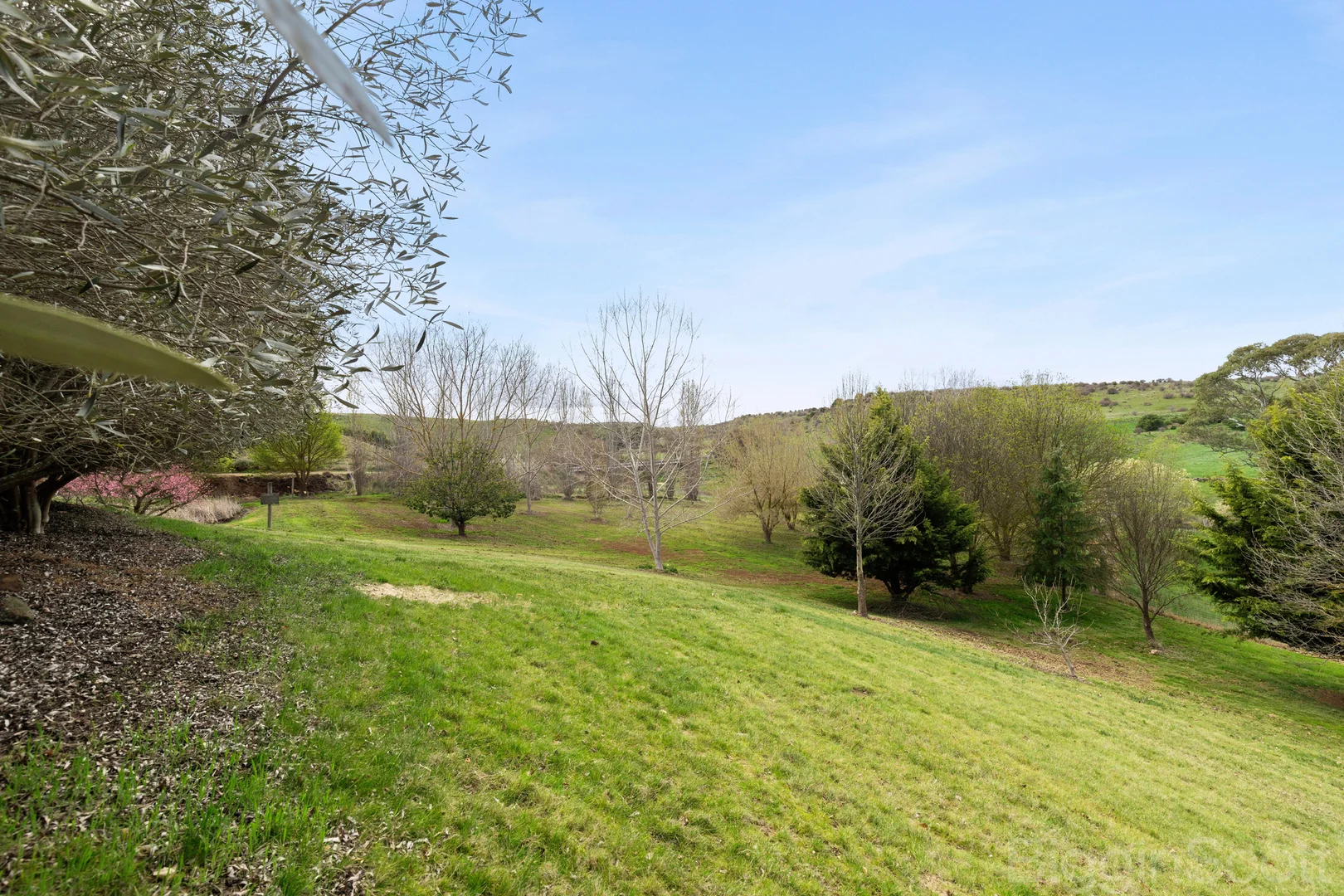 Additional image 16 of 185 Clunes Mt Cameron Road, Clunes VIC 3370