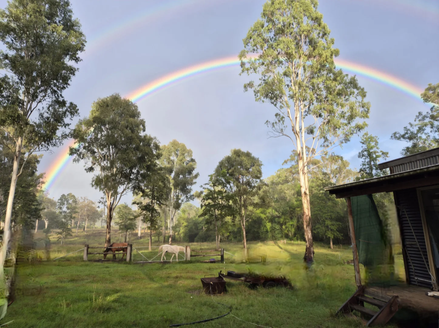 Additional image 22 of 306 Orara Road, Lanitza NSW 2460