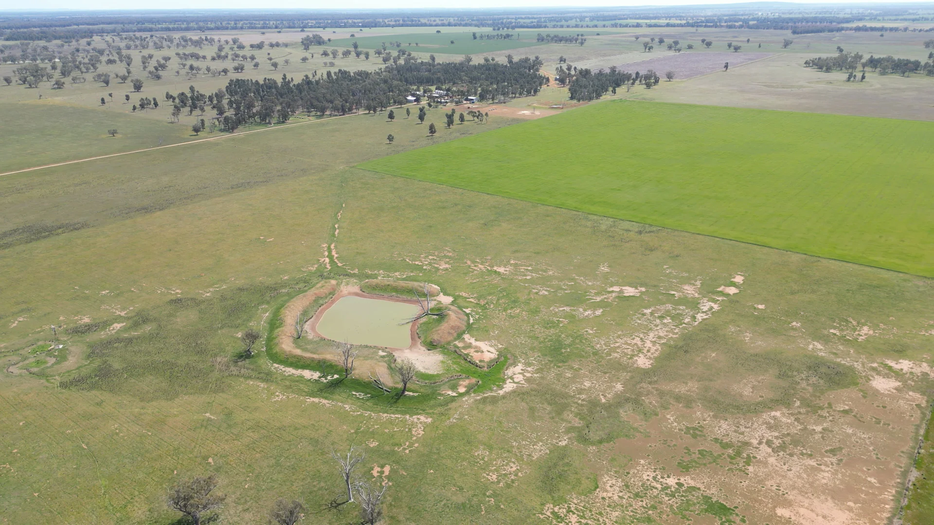 Additional image 6 of 3166 Back Trundle Road, Parkes NSW 2870