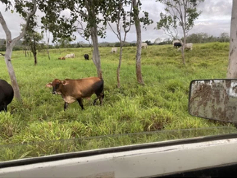 Additional image 16 of 104 Mount Ossa Seaforth Road, Mount Ossa QLD 4741