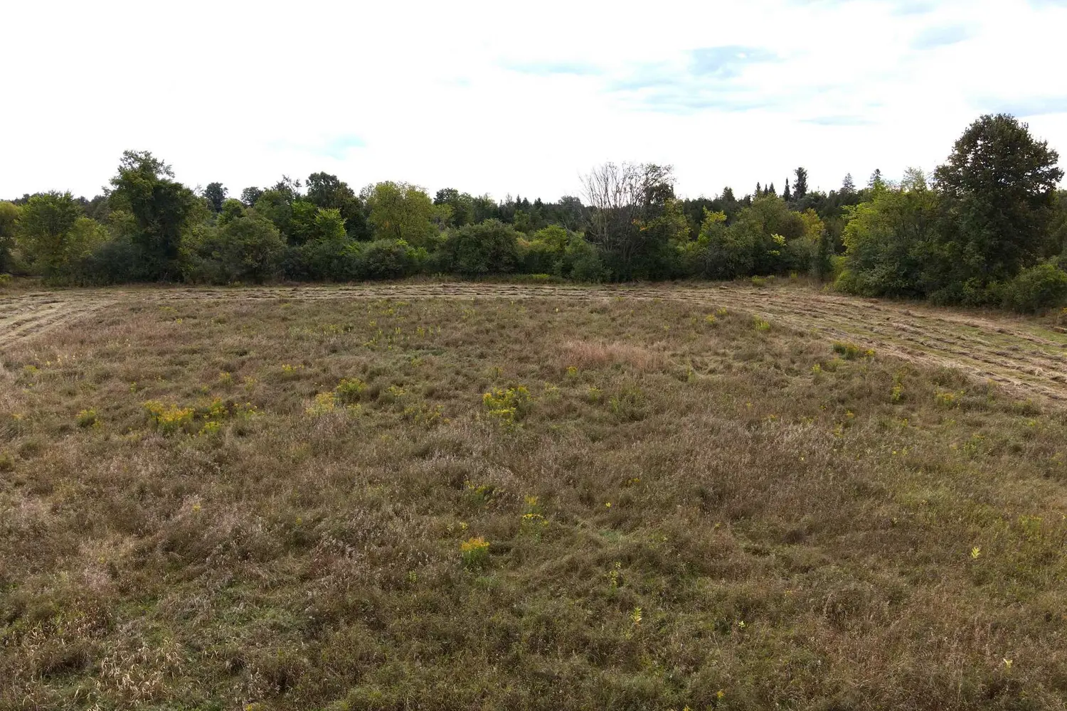 Additional image 5 of 404 Ford Road