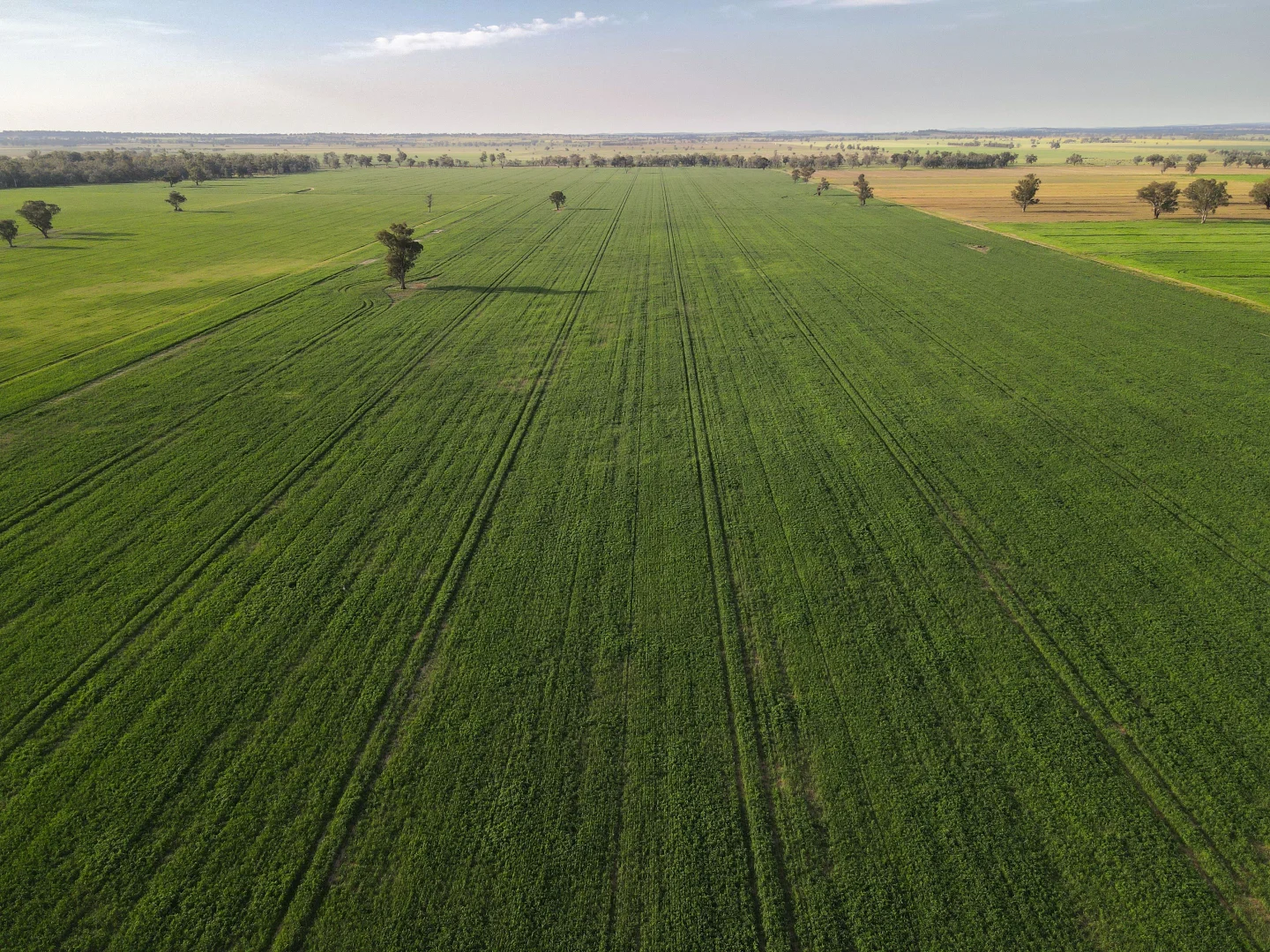 Additional image 7 of 11025 "Lima" The Escort Way, Forbes NSW 2871