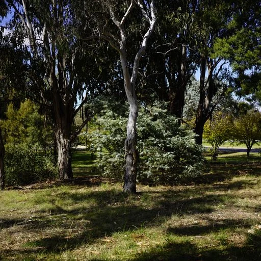 Additional image 17 of 14 Ibbott Lane, Belconnen ACT 2617