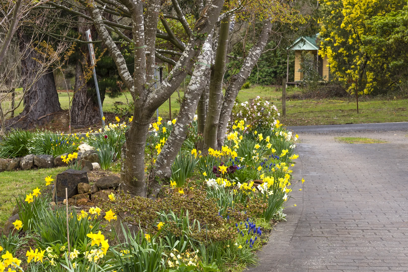 Additional image 15 of 150 Brougham Road, Mount Macedon VIC 3441