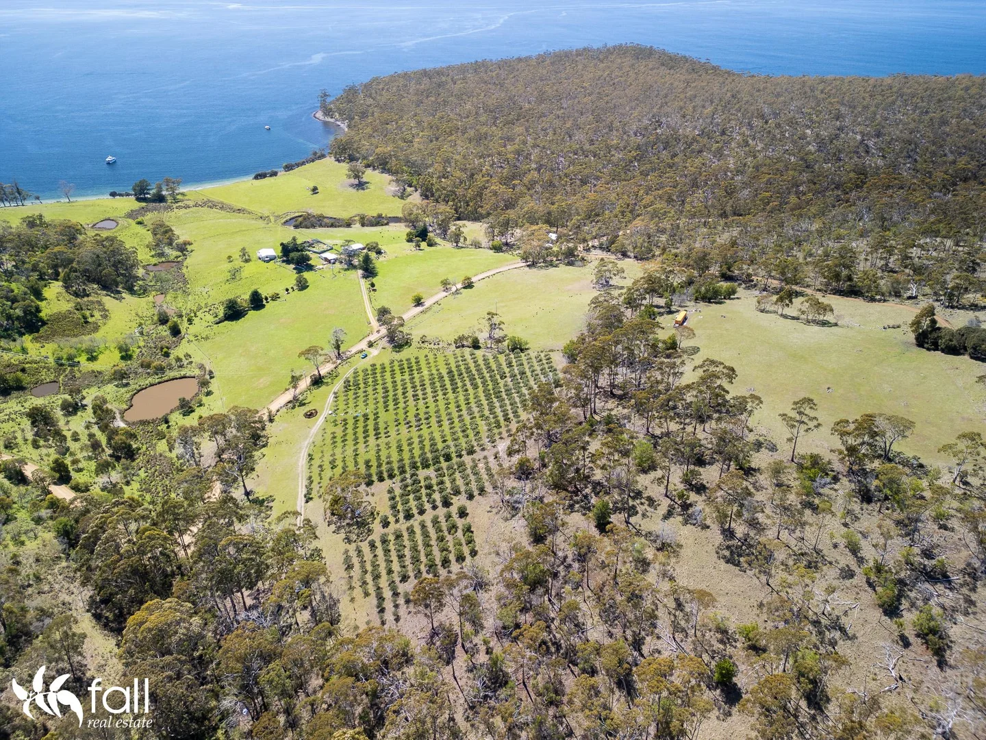 Additional image 7 of 402 Bruny Island Main Road, North Bruny TAS 7150