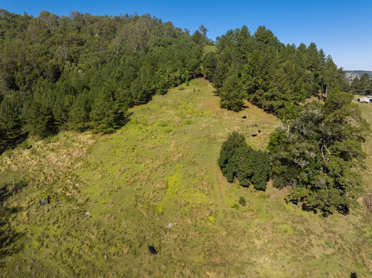 Additional image 37 of 1122 Nimbin Road, Koonorigan NSW 2480