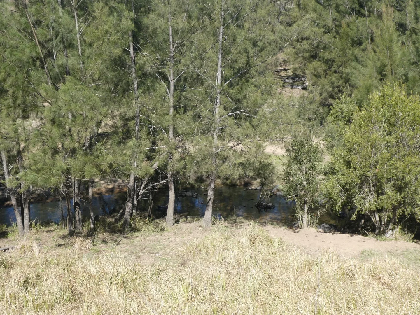 Additional image 9 of 59 Mungy Road, Mungy QLD 4671